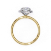 Picture of 2 carat Timeless halo cushion solitaire diamond ring 
