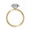 Picture of 1.50 Carat Classic Solitaire And Halo Diamond Ring With Sleek Band (1.65 CTW Diamonds)