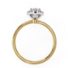 Picture of 1.10 carat Pear Solitaire Diamond Ring, Featuring A Halo Design.