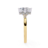 Picture of Regalia Princess Cluster Ring (1.01 CTW Diamonds)