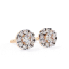 Picture of Simple yet Stylish Round Cut Lab Grown Diamond stud Earring.