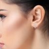 Picture of Celeste Round Labgrown Diamond Hoops.