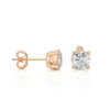 Picture of Classic and versatile: 0.95 carat round diamond studs for your daily style.