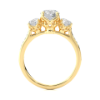 Picture of 1 Carat solitaire with 30 cent side adjacent diamond Ring.