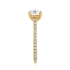 Picture of 1.20 Carat Solitaire with Accents Diamond Ring (1.60 CTW Diamonds)