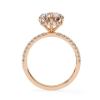 Picture of 2.40 Carat Solitaire Round Diamond Ring With a Diamond Studded Band.