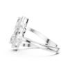 Picture of The Jewel Garden - 0.95 Carat Multi-Shape Diamond Ring